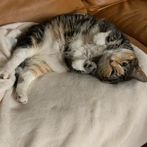 Meet your Posher, Nelson